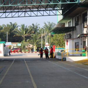 IMG_2894 IMG_2894