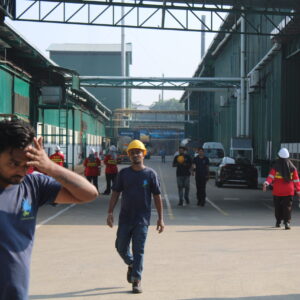 IMG_2909 IMG_2909