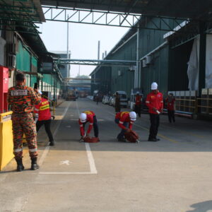 IMG_2971 IMG_2971