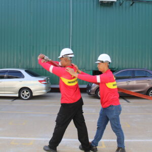 IMG_2982 IMG_2982